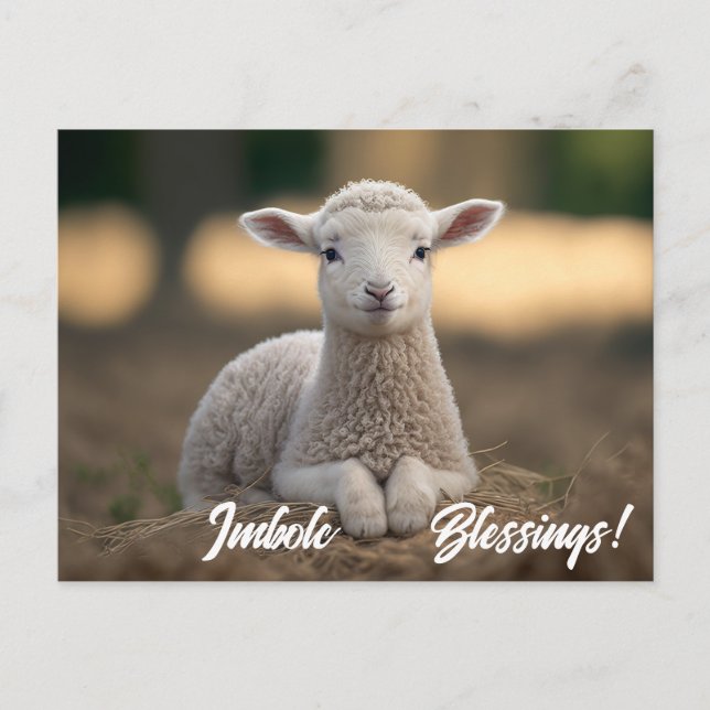 Baby Lamb Imbolc-Segnungen Postkarte (Vorderseite)