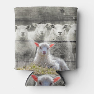 Baby Lamb kann sich abkühlen Dosenkühler