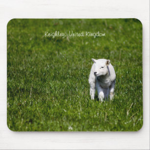 Baby Lamb Mousepad