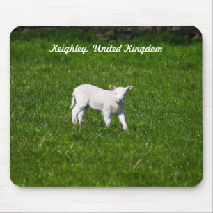 Baby Lamb Mousepad