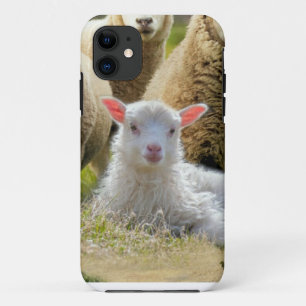 Baby Lamb Sheep Herd Flock Case-Mate iPhone Hülle