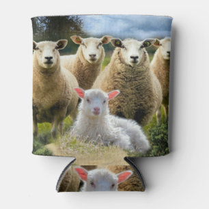 Baby Lamb Sheep Herd Flock Dosenkühler