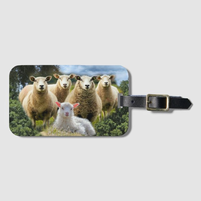 Baby Lamb Sheep Herd Flock Gepäckanhänger (Vorderseite (Horizontal))