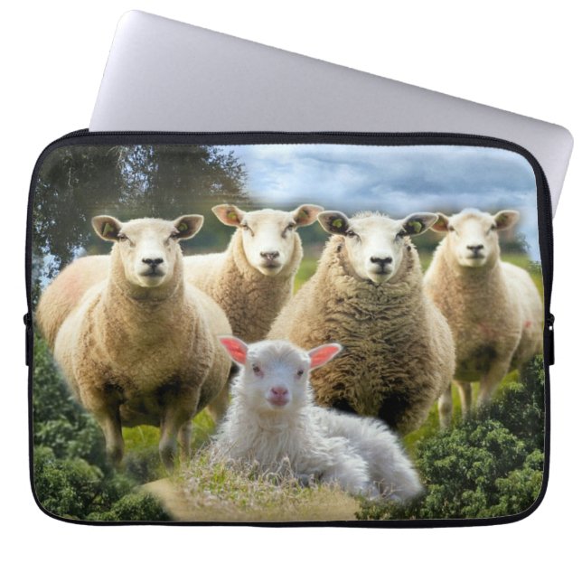 Baby Lamb Sheep Herd Flock Laptopschutzhülle (Vorderseite)
