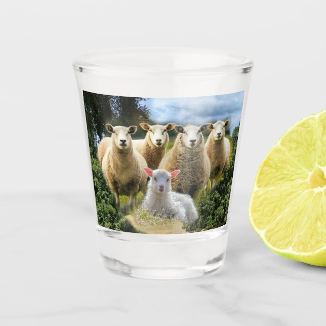 Baby Lamb Sheep Herd Flock Schnapsglas (Vorderseite)