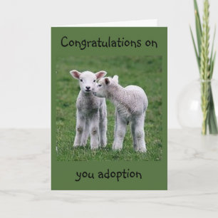 BABY LAMBS FREUT SICH ÜBER IHRE "ADOPTION" KARTE