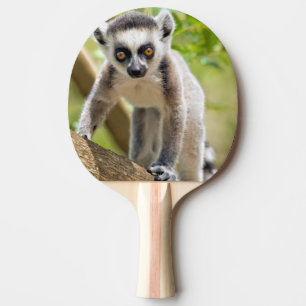 Baby Lemuren mit Ringelschwanz Tischtennis Schläger