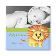 Baby Lion/Foto