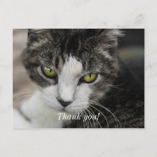 Baby Look Danke Postcard Postkarte