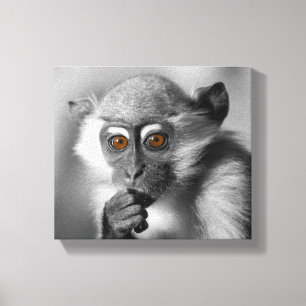 Baby Mangabey Monkey Leinwanddruck