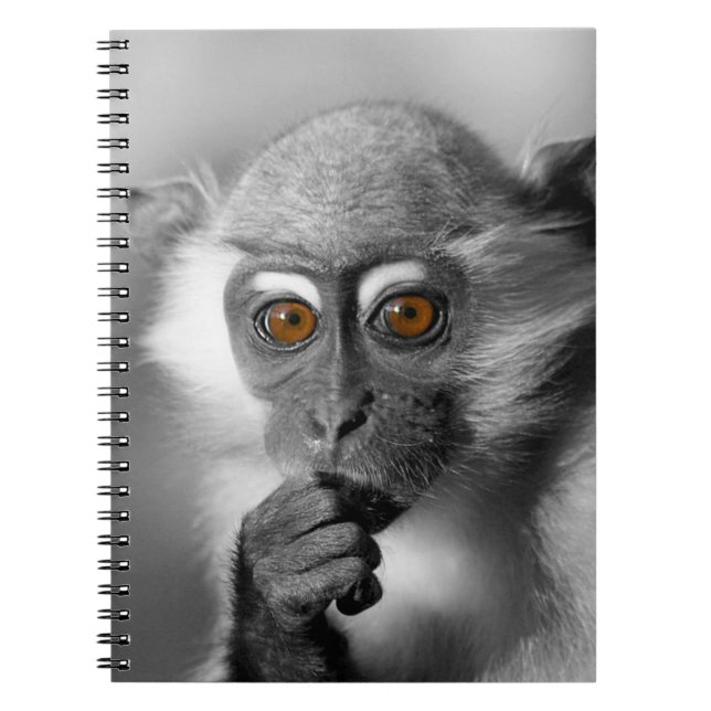 Baby Mangabey Monkey Notizblock (Vorderseite)