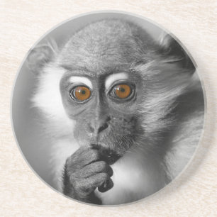 Baby Mangabey Monkey Sandstein Untersetzer