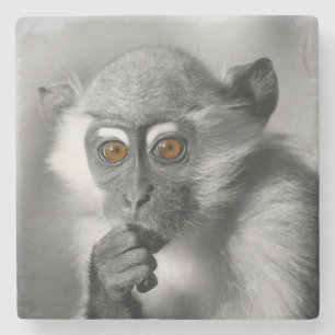 Baby Mangabey Monkey Steinuntersetzer