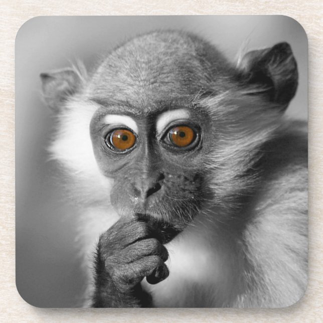 Baby Mangabey Monkey Untersetzer (Vorderseite)