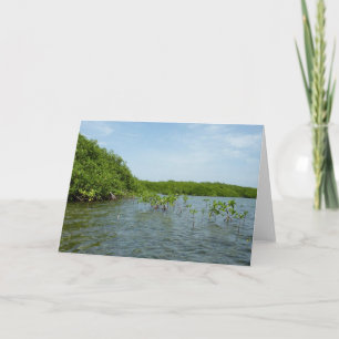 Baby Mangrove Trees in der Karibik Karte