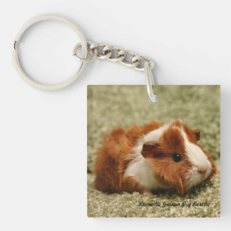 Baby-Meerschweinchen-Schlüsselanhänger Schlüsselanhänger