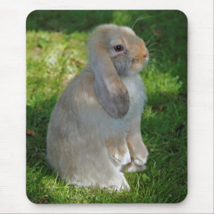 Baby Minilop Kaninchen Mauspad