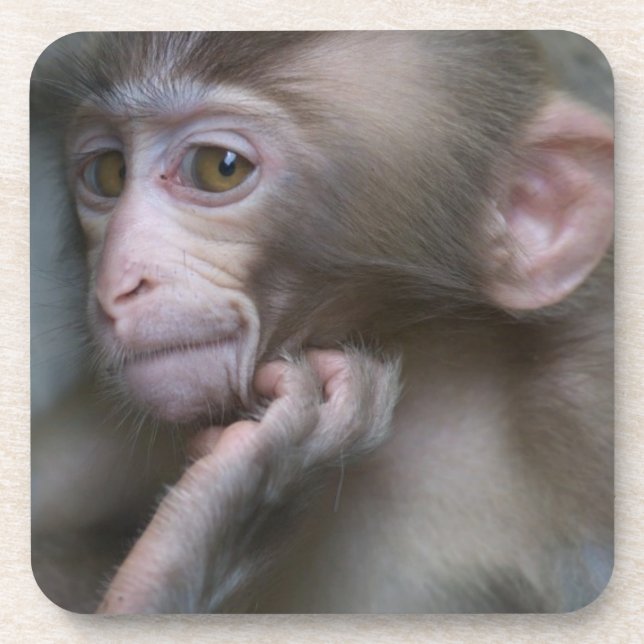 Baby Monkey Getränkeuntersetzer (Vorderseite)