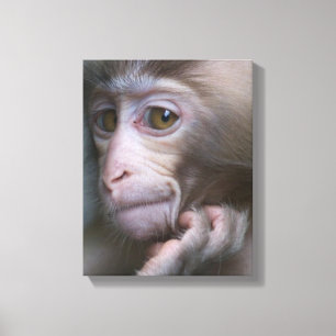 Baby Monkey Leinwanddruck
