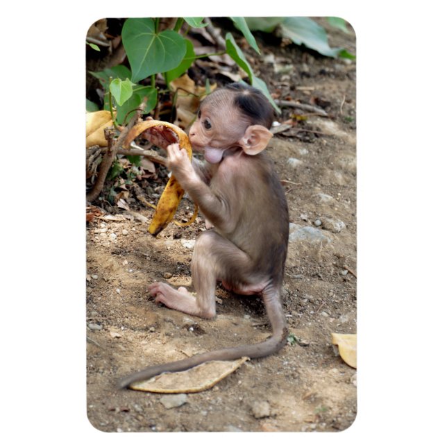 Baby Monkey Magnet (Vertikal)
