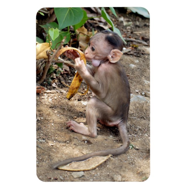 Baby Monkey Magnet (Vertikal)