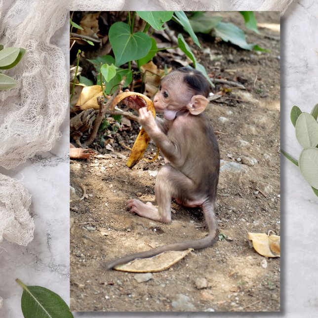 Baby Monkey Magnetkarte (Von Creator hochgeladen)