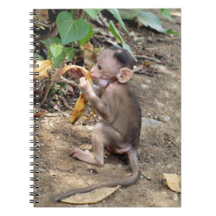 Baby Monkey Notizblock