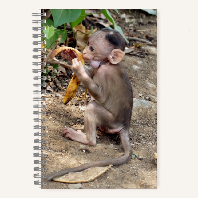 Baby Monkey Notizbuch (Vorderseite)