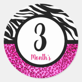 Baby Month Stickers
