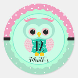 Baby Month Stickers