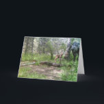 Baby Moose Birthday Karte<br><div class="desc">Spring scene of cow moose and baby in woods.</div>