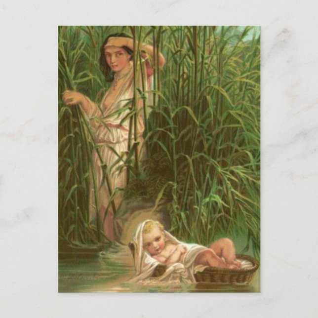 Baby Moses und der Nil Postkarte (Vorderseite)