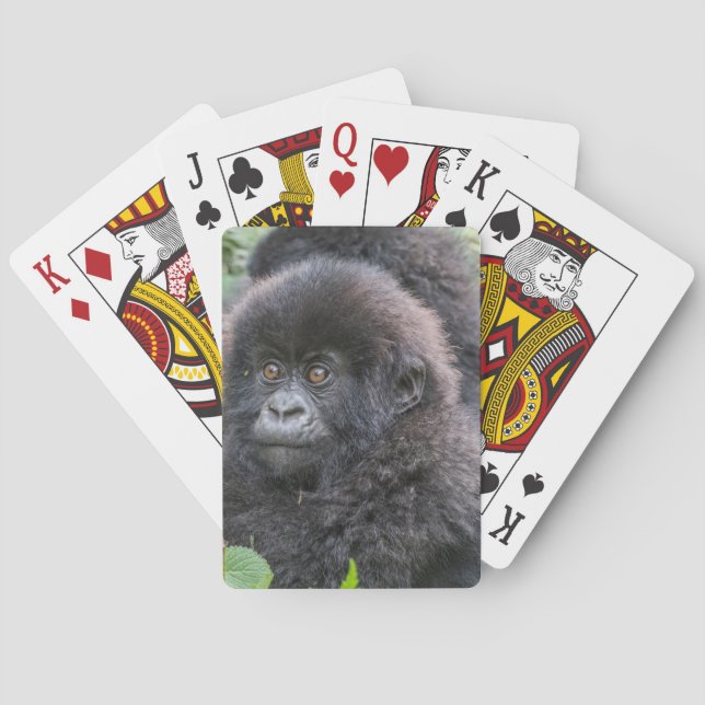 Baby Mountain Gorilla Spielkarten (Rückseite)