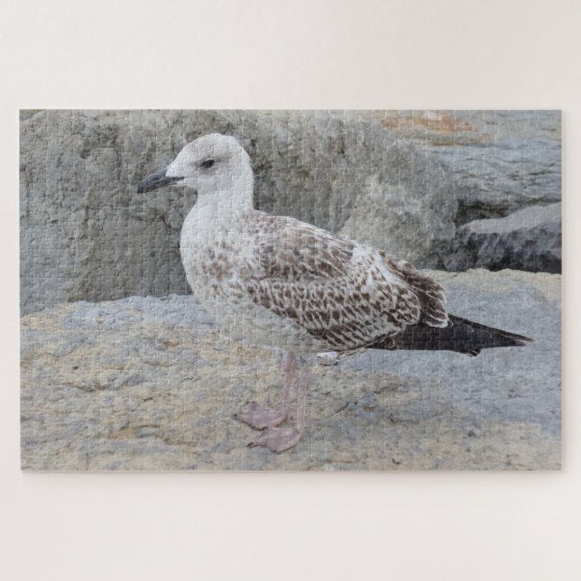 Baby-Möwe-Puzzle (Horizontal)