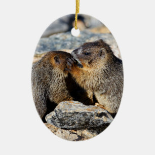 Baby-Murmeltiere Keramik Ornament