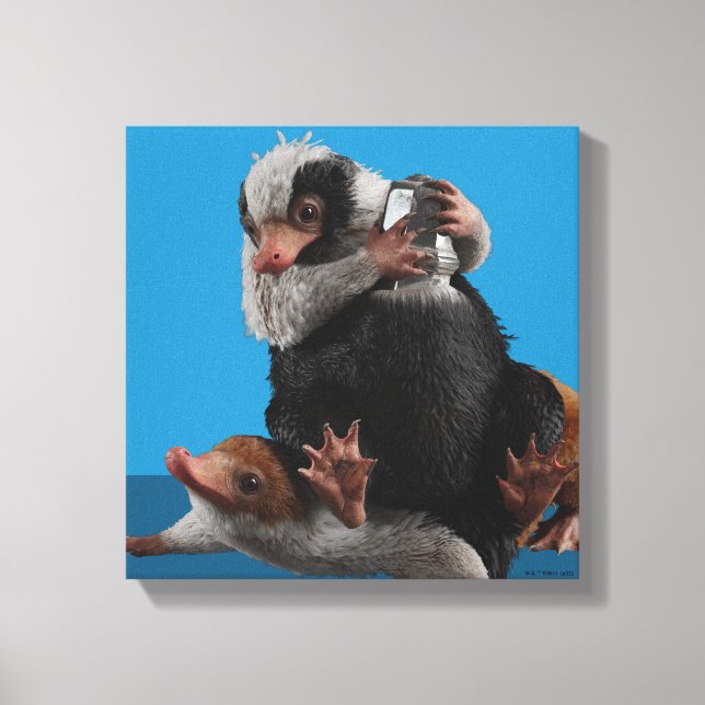 Baby Nifflers findet den Preis Leinwanddruck (Vorderseite)