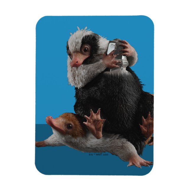 Baby Nifflers findet den Preis Magnet (Vertikal)