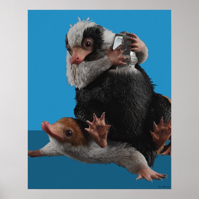 Baby Nifflers findet den Preis Poster (Vorne)