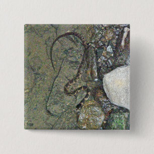 Baby Northern Water Schlange (Nerodia sipedon) Art Button