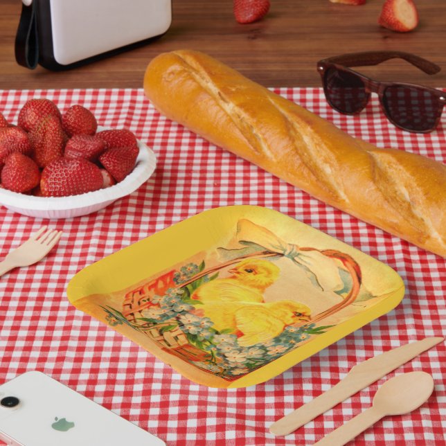 Baby Oaster Chicks in einem Korbpapier-Teller Pappteller (Picknick)