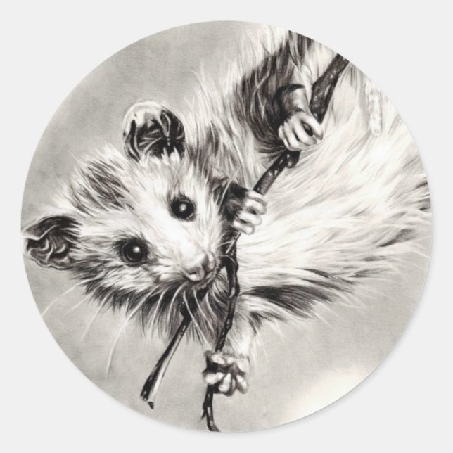 Baby Opossum Stickers (Vorderseite)