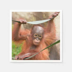 Baby Orang-Utan Verbindung Serviette