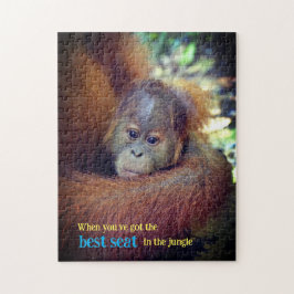 Baby Orangutan