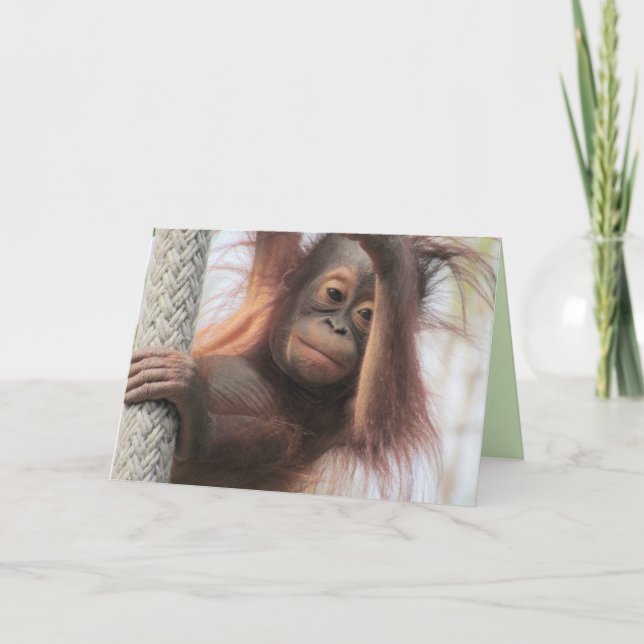 Baby Orangutan Grußkarte Karte (Vorderseite)