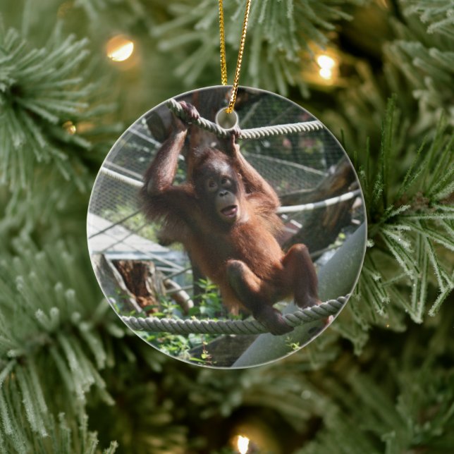Baby Orangutan - Hang da drin Keramik Ornament (Baum)