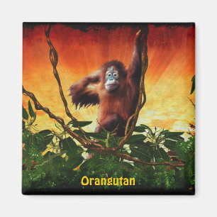 Baby Orangutan & Jungle Wildlife Art Magnet