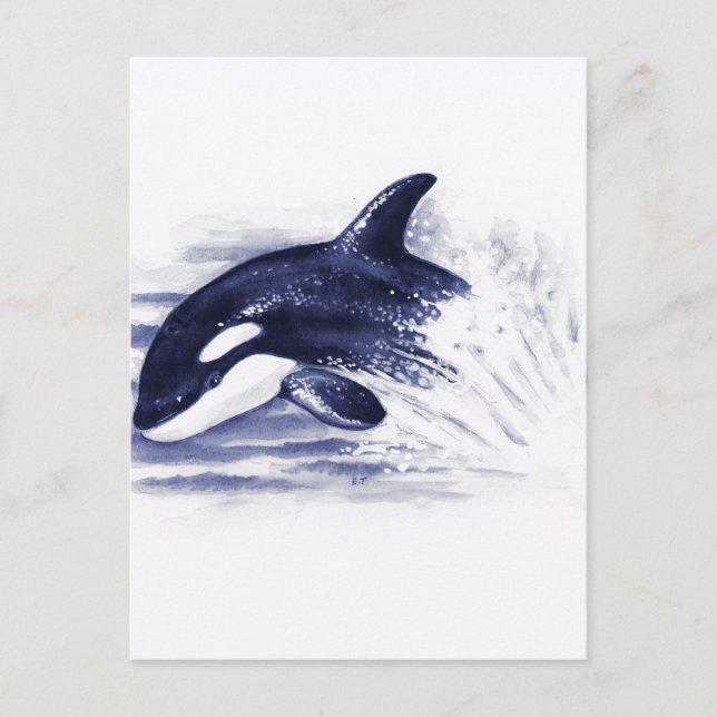 Baby Orca Jump Postkarte (Vorderseite)