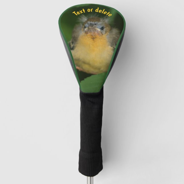 Baby Oriole Fledgling Bird Personalisiert Golf Headcover (Vorderseite)