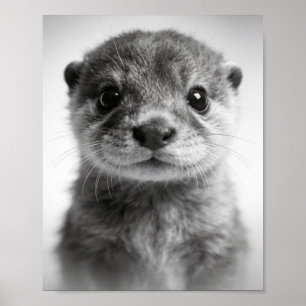 Baby Otter Portrait Süße Kinderzimmer Wandkunst Poster