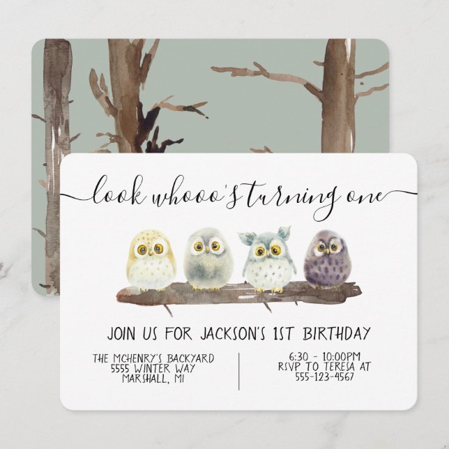 Baby Owl Birthday Party Einladung (Vorne/Hinten)